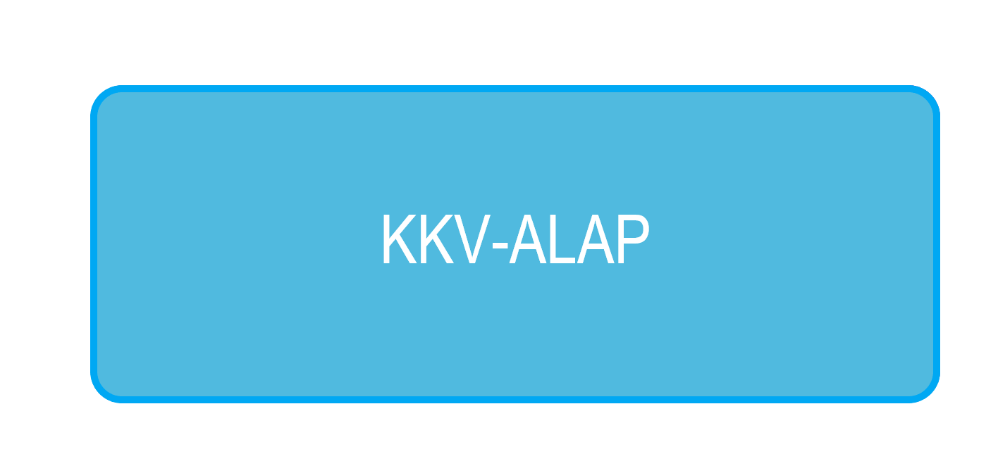 kkv alap2